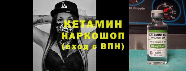 прущие грибы Каменка