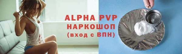 прущие грибы Каменка