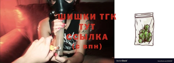 прущие грибы Каменка