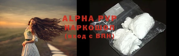 прущие грибы Каменка