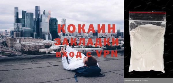 прущие грибы Каменка
