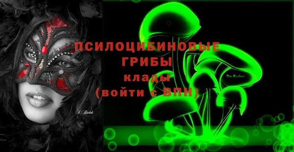 стаф Карпинск