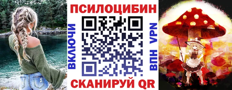 Псилоцибиновые грибы Cubensis  Купить где  Завитинск 